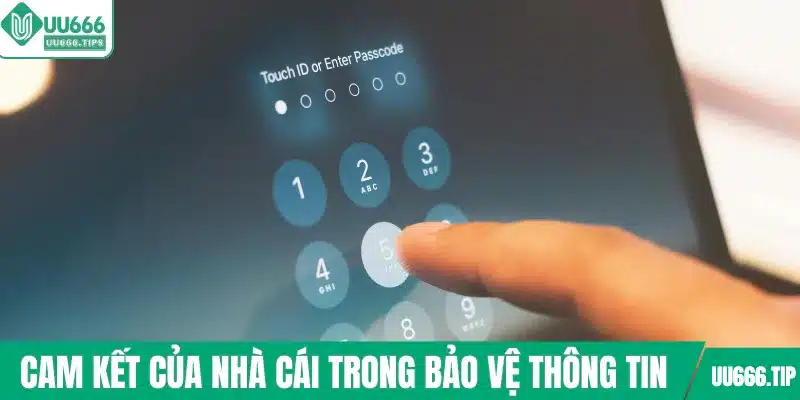 Cam kết của nhà cái trong bảo vệ thông tin