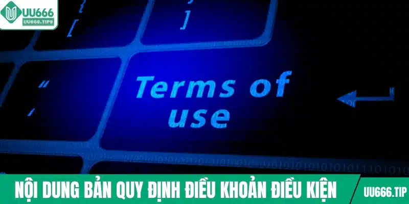 Nội dung bản quy định điều khoản điều kiện